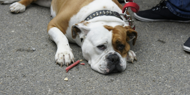 Conteúdo B2B é chato, mas não precisa ser